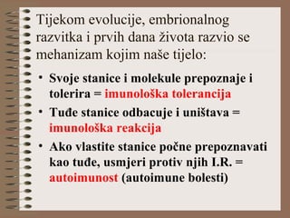 Tijekom evolucije, embrionalnog
razvitka i prvih dana života razvio se
mehanizam kojim naše tijelo:
• Svoje stanice i molekule prepoznaje i
tolerira = imunološka tolerancija
• Tuđe stanice odbacuje i uništava =
imunološka reakcija
• Ako vlastite stanice počne prepoznavati
kao tuđe, usmjeri protiv njih I.R. =
autoimunost (autoimune bolesti)
 