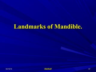 05/19/1605/19/16 OelshallOelshall 5757
Landmarks of Mandible.Landmarks of Mandible.
 