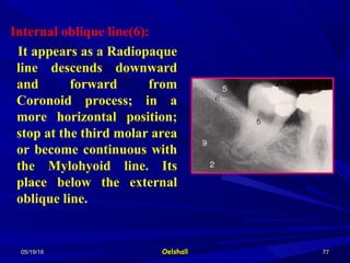 05/19/1605/19/16 OelshallOelshall 7777
Internal oblique line(6):
It appears as a Radiopaque
line descends downward
and forward from
Coronoid process; in a
more horizontal position;
stop at the third molar area
or become continuous with
the Mylohyoid line. Its
place below the external
oblique line.
 