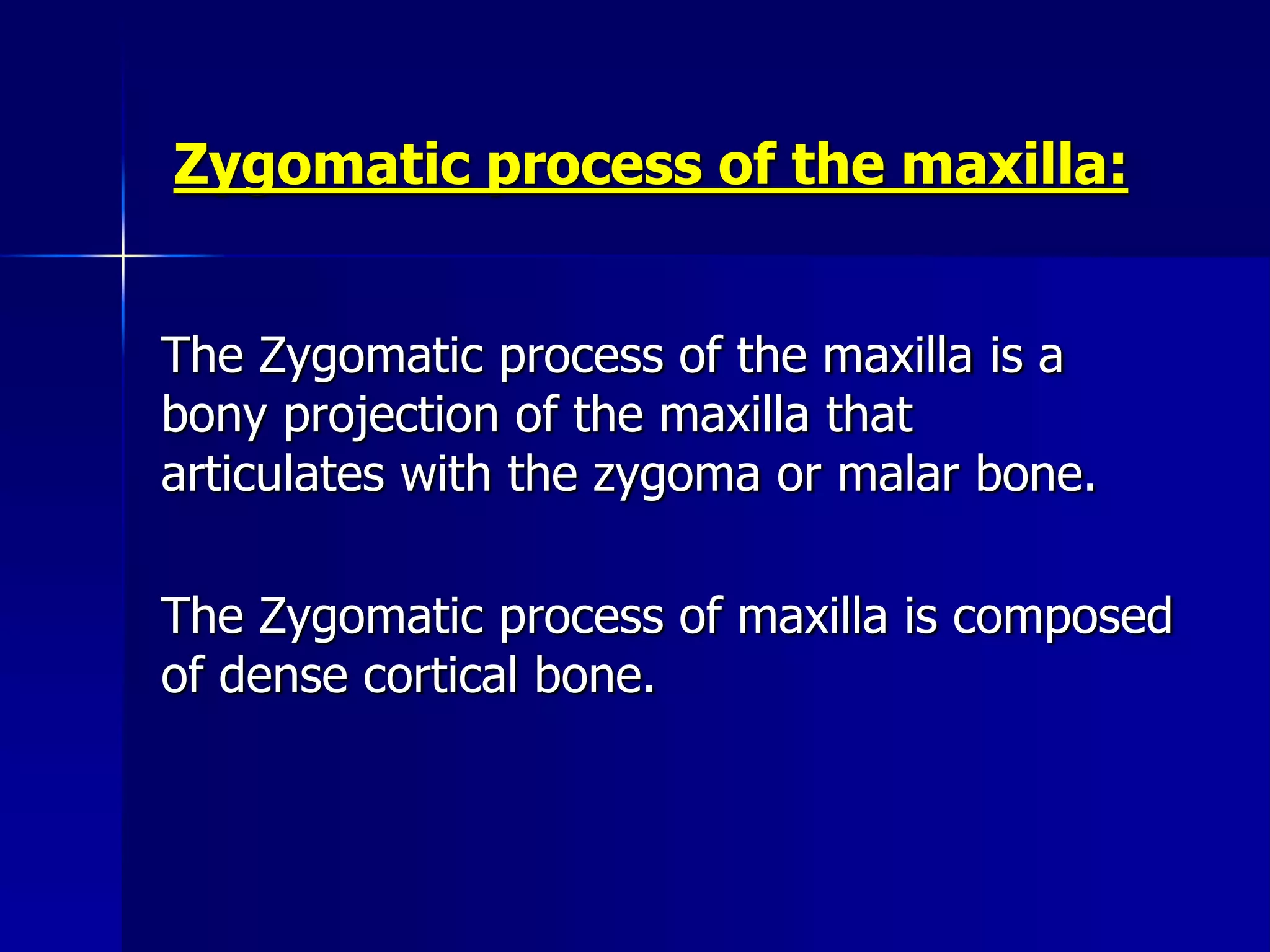 Radiographic Anatomical Landmarks | PPSX