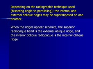 Radiographic Anatomical Landmarks | PPSX