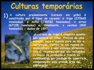Culturas temporáriasA cultura predominante (cereais em grão) é constituída por 4 tipos de cereais: o trigo (270665 toneladas), o milho (135782 toneladas), o arroz (67105 toneladas) e, finalmente, o centeio (400 toneladas) - dados de 1997.1)A cultura de trigo é exigente quanto aos solos e ao clima. Precisa de uma estação seca e quente para se dar a maturação. Cultiva-se em regime de monocultura e num sistema extensivo, isto é, regimes em que são reduzidos os meios de produção e fracos os rendimentos por unidade de superfície, compensados pela grande área de exploração.