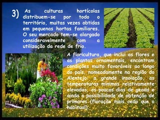 As culturas hortícolas distribuem-se por todo o território, muitas vezes obtidas em pequenas hortas familiares. O seu mercado tem-se alargado consideravelmente com a utilização da rede de frio.3)A floricultura, que inclui as flores e as plantas ornamentais, encontram condições muito favoráveis ao longo do país, nomeadamente na região do Alentejo: a grande insolação, as temperaturas mínimas relativamente elevadas, os poucos dias de geada e ainda a possibilidade de obtenção de primores (floração mais cedo que o habitual).