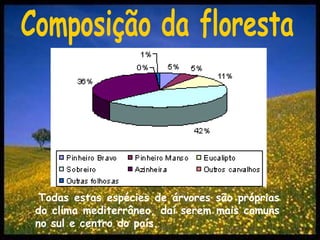 Composição da florestaTodas estas espécies de árvores são próprias do clima mediterrâneo, daí serem mais comuns no sul e centro do país.