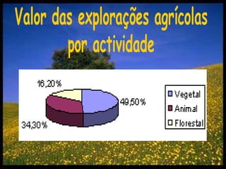 Valor das explorações agrícolaspor actividade