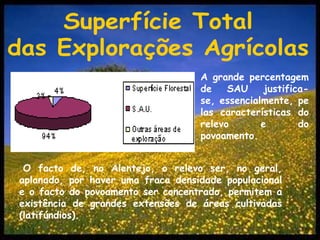 Superfície Totaldas Explorações AgrícolasA grande percentagem de SAU justifica-se, essencialmente, pelas características do relevo e do povoamento.O facto de, no Alentejo, o relevo ser, no geral, aplanado, por haver uma fraca densidade populacional e o facto do povoamento ser concentrado, permitem a existência de grandes extensões de áreas cultivadas (latifúndios).