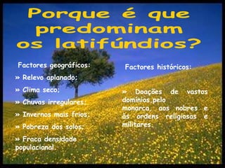 Porque é quepredominamos latifúndios?Factores geográficos:» Relevo aplanado;» Clima seco;» Chuvas irregulares;» Invernos mais frios;» Pobreza dos solos;» Fraca densidade populacional.Factores históricos:» Doações de vastos domínios,pelo monarca, aos nobres e às ordens religiosas e militares.