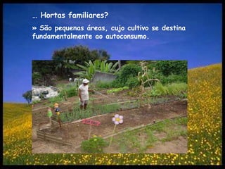… Hortas familiares?» São pequenas áreas, cujo cultivo se destina fundamentalmente ao autoconsumo.