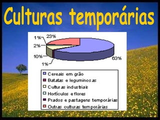 Culturas temporárias