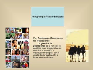 Antropología Física o Biológica 2.4. Antroplogia Genetica de las Poblaciones La  genética de poblaciones  es la rama de la genética cuya problematica es describir la variación y distribución biológica, con el objeto de dar explicación a fenómenos evolutivos. 