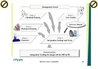 Reach Method REACH | PDF