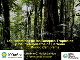 Las Dinámicas de los Bosques Tropicales
     y los Presupuestos de Carbono
         en un Mundo Cambiante
           Helene C. Muller-Landau
             Smithsonian Institution
 