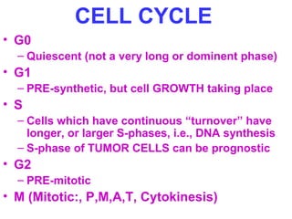 CELL CYCLE 
• G0 
– Quiescent (not a very long or dominent phase) 
• G1 
– PRE-synthetic, but cell GROWTH taking place 
• S 
– Cells which have continuous “turnover” have 
longer, or larger S-phases, i.e., DNA synthesis 
– S-phase of TUMOR CELLS can be prognostic 
• G2 
– PRE-mitotic 
• M (Mitotic:, P,M,A,T, Cytokinesis) 
 