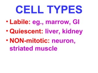 CELL TYPES 
• Labile: eg., marrow, GI 
• Quiescent: liver, kidney 
• NON-mitotic: neuron, 
striated muscle 
 