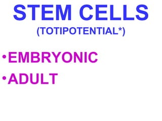 STEM CELLS 
(TOTIPOTENTIAL*) 
•EMBRYONIC 
•ADULT 
 