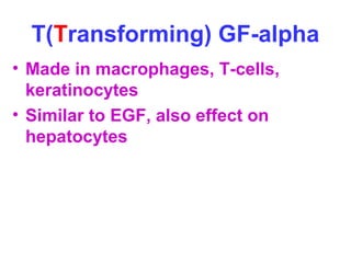 T(Transforming) GF-alpha 
• Made in macrophages, T-cells, 
keratinocytes 
• Similar to EGF, also effect on 
hepatocytes 
 