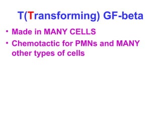 T(Transforming) GF-beta 
• Made in MANY CELLS 
• Chemotactic for PMNs and MANY 
other types of cells 
 