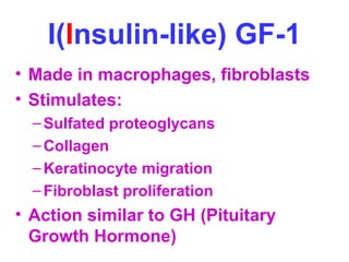 I(Insulin-like) GF-1 
• Made in macrophages, fibroblasts 
• Stimulates: 
–Sulfated proteoglycans 
–Collagen 
–Keratinocyte migration 
–Fibroblast proliferation 
• Action similar to GH (Pituitary 
Growth Hormone) 
 