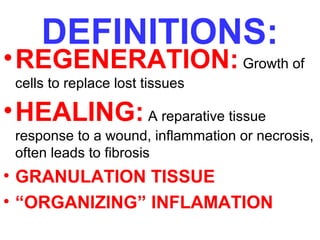 DEFINITIONS: 
•REGENERATION: Growth of 
cells to replace lost tissues 
•HEALING: A reparative tissue 
response to a wound, inflammation or necrosis, 
often leads to fibrosis 
• GRANULATION TISSUE 
• “ORGANIZING” INFLAMATION 
 