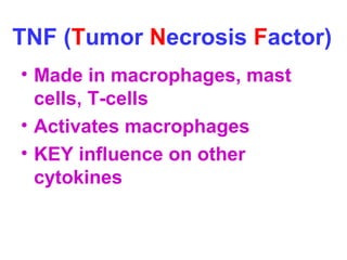 TNF (Tumor Necrosis Factor) 
• Made in macrophages, mast 
cells, T-cells 
• Activates macrophages 
• KEY influence on other 
cytokines 
 