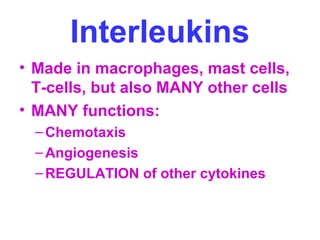Interleukins 
• Made in macrophages, mast cells, 
T-cells, but also MANY other cells 
• MANY functions: 
–Chemotaxis 
–Angiogenesis 
–REGULATION of other cytokines 
 