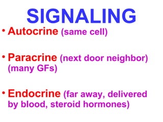 SIGNALING • Autocrine (same cell) 
• Paracrine (next door neighbor) 
(many GFs) 
• Endocrine (far away, delivered 
by blood, steroid hormones) 
 