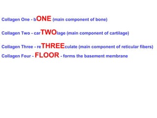 Collagen One - bONE (main component of bone) 
Collagen Two - carTWOlage (main component of cartilage) 
Collagen Three - reTHREEculate (main component of reticular fibers) 
Collagen Four - FLOOR - forms the basement membrane 
 