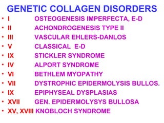 GENETIC COLLAGEN DISORDERS 
• I OSTEOGENESIS IMPERFECTA, E-D 
• II ACHONDROGENESIS TYPE II 
• III VASCULAR EHLERS-DANLOS 
• V CLASSICAL E-D 
• IX STICKLER SYNDROME 
• IV ALPORT SYNDROME 
• VI BETHLEM MYOPATHY 
• VII DYSTROPHIC EPIDERMOLYSIS BULLOS. 
• IX EPIPHYSEAL DYSPLASIAS 
• XVII GEN. EPIDERMOLYSYS BULLOSA 
• XV, XVIII KNOBLOCH SYNDROME 
 