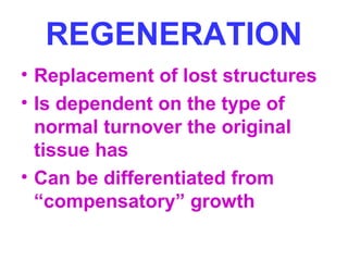 REGENERATION 
• Replacement of lost structures 
• Is dependent on the type of 
normal turnover the original 
tissue has 
• Can be differentiated from 
“compensatory” growth 
 