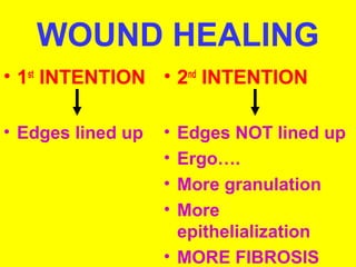 WOUND HEALING 
• 1st INTENTION 
• Edges lined up 
• 2nd INTENTION 
• Edges NOT lined up 
• Ergo…. 
• More granulation 
• More 
epithelialization 
• MORE FIBROSIS 
 