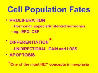 Cell Population Fates 
• PROLIFERATION 
– Hormonal, especially steroid hormones 
– eg., EPO, CSF 
• DIFFERENTIATION* 
– UNIDIRECTIONAL, GAIN and LOSS 
• APOPTOSIS 
*One of the most KEY concepts in neoplasia 
 