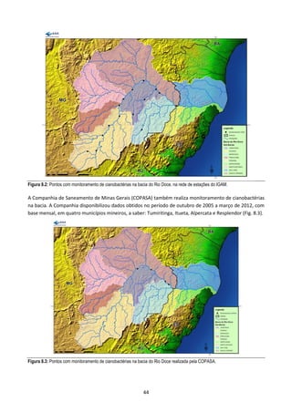 Figura 8.2: Pontos com monitoramento de cianobactérias na bacia do Rio Doce, na rede de estações do IGAM.

A Companhia de Saneamento de Minas Gerais (COPASA) também realiza monitoramento de cianobactérias
na bacia. A Companhia disponibilizou dados obtidos no período de outubro de 2005 a março de 2012, com
base mensal, em quatro municípios mineiros, a saber: Tumiritinga, Itueta, Alpercata e Resplendor (Fig. 8.3).




Figura 8.3: Pontos com monitoramento de cianobactérias na bacia do Rio Doce realizada pela COPASA.




                                                            44
 