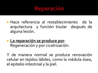  Hace referencia al restablecimiento de la
arquitectura y función tisular después de
alguna lesión.
 La reparación se produce por:
Regeneración y por cicatrización.
Y de manera normal se produce renovación
celular en tejidos lábiles, como la médula ósea,
el epitelio intestinal y la piel.
 