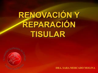 RENOVACIÓN YRENOVACIÓN Y
REPARACIÓNREPARACIÓN
TISULARTISULAR
DRA. SARA MERCADO MOLINA
 