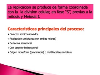 Caracteristicas principales del proceso:
Caracter semiconservador
Realizacion simultanea (en ambas hebras)
De forma secuencial
Con caracter bidireccional
Origen monofocal (procariotas) o multifocal (eucariotas)
La replicacion se produce de forma coordinada
con la la division celular, en fase “S”, previas a la
mitosis y Meiosis I.
 