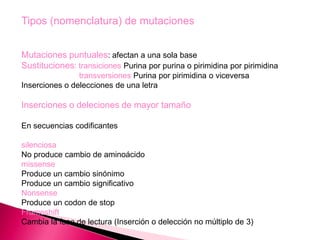 Tipos (nomenclatura) de mutaciones
Mutaciones puntuales: afectan a una sola base
Sustituciones: transiciones Purina por purina o pirimidina por pirimidina
transversiones Purina por pirimidina o viceversa
Inserciones o delecciones de una letra
Inserciones o deleciones de mayor tamaño
En secuencias codificantes
silenciosa
No produce cambio de aminoácido
missense
Produce un cambio sinónimo
Produce un cambio significativo
Nonsense
Produce un codon de stop
Frameshift
Cambia la fase de lectura (Inserción o delección no múltiplo de 3)
 