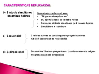CARACTERÍSTICAS REPLICACIÓN:
b) Síntesis simultánea
en ambas hebras
Síntesis no comienza al azar:
• “Orígenes de replicación”
• c/u apertura local de la doble hélice
• Comienza síntesis simultánea de 2 nuevas hebras
• Simultáneo ≠ contínuo
c) Secuencial 2 hebras nuevas se van alargando progresivamente
Adición secuencial de Nucleótidos
d) Bidireccional Separación 2 hebras progenitoras (comienza en cada origen)
Progresa en ambas direcciones
 
