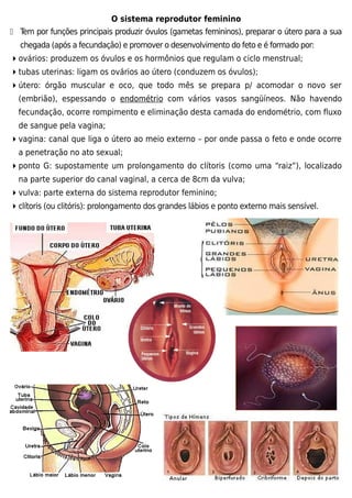 O sistema reprodutor feminino
 Tem por funções principais produzir óvulos (gametas femininos), preparar o útero para a sua
chegada (após a fecundação) e promover o desenvolvimento do feto e é formado por:
ovários: produzem os óvulos e os hormônios que regulam o ciclo menstrual;
tubas uterinas: ligam os ovários ao útero (conduzem os óvulos);
útero: órgão muscular e oco, que todo mês se prepara p/ acomodar o novo ser
(embrião), espessando o endométrio com vários vasos sangüíneos. Não havendo
fecundação, ocorre rompimento e eliminação desta camada do endométrio, com fluxo
de sangue pela vagina;
vagina: canal que liga o útero ao meio externo – por onde passa o feto e onde ocorre
a penetração no ato sexual;
ponto G: supostamente um prolongamento do clítoris (como uma “raiz”), localizado
na parte superior do canal vaginal, a cerca de 8cm da vulva;
vulva: parte externa do sistema reprodutor feminino;
clítoris (ou clitóris): prolongamento dos grandes lábios e ponto externo mais sensível.
 