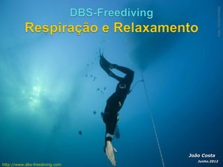 Foto: Carlos Freitas
                                João Costa
                                   Junho.2012
http://www.dbs-freediving.com
 