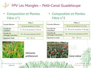 17 et 19 octobre 2017
Martinique - Guadeloupe
Séminaire de restitution du projet
Attentive
FPV Les Mangles – Petit-Canal Guadeloupe
• Composition et Plantes
Filtre n°1
• Composition et Plantes
Filtre n°2
Couche filtrante
Filtre 1 Filtre 2
40 cm de matériaux 2/6 mm 80 cm de matériaux 2/6 mm
Couche de
transition
10 - 20 cm de matériaux 5/20 mm 10 - 20 cm de matériaux 5/20 mm
Couche de
drainage/saturation
50 – 60 cm de matériaux 20/60 50 – 60 cm de matériaux 20/60
Epaisseur totale 100 - 120 cm 100 - 120 cm
Heliconia
psittacorum
Couche filtrante
Filtre 2
80 cm de matériaux 2/6 mm
Couche de
transition
10 - 20 cm de matériaux 5/20 mm
Couche de
drainage/saturation
50 – 60 cm de matériaux 20/60
Epaisseur totale 100 - 120 cm
Cana indica
 