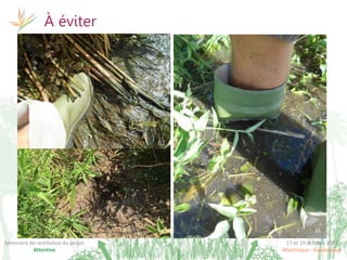 17 et 19 octobre 2017
Martinique - Guadeloupe
Séminaire de restitution du projet
Attentive
À éviter
 