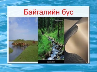 Говь цөлийн бүсийн тухай түүний ургамлын тухай тэдгээрийн ижил ба ялгаатай талыг мэдэж, нэрлэх, ярих, зурах,нөхөх  