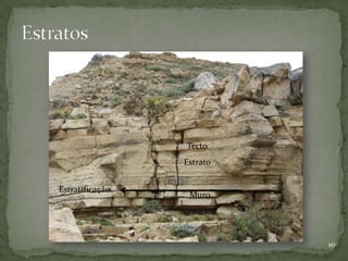 Tecto
                 Estrato


Estratificação
                  Muro




                           10
 