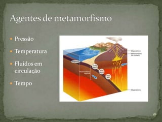  Pressão

 Temperatura

 Fluidos em
 circulação

 Tempo




                18
 