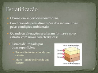  Ocorre em superfícies horizontais;
 Condicionada pelas dimensões dos sedimentos e
  pelas condições ambientais;

 Quando as alterações se alteram forma-se novo
  estrato, com novas características;

  Estrato delimitado por
   duas superfícies:
    Tecto – limite superior de um
      estrato
    Muro – limite inferior de um
      estrato

                                                  9
 