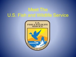 Meet The
U.S. Fish and Wildlife Service
 