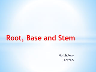 Morphology
Level-5
Root, Base and Stem
 