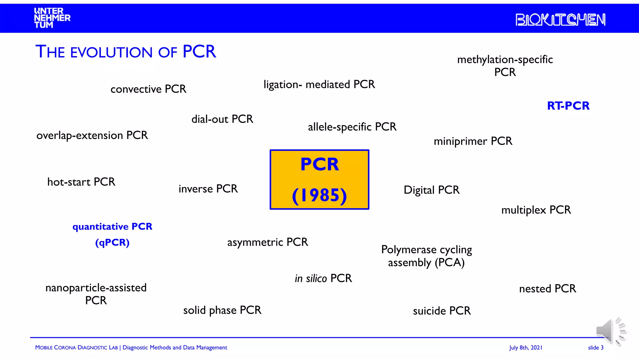 3 - RT-qPCR.pdf