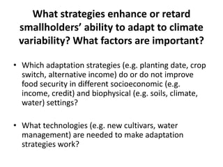 What strategies enhance or retard  smallholders’ ability to adapt to climate variability? What factors are important? Which adaptation strategies (e.g. planting date, crop switch, alternative income) do or do not improve food security in different socioeconomic (e.g. income, credit) and biophysical (e.g. soils, climate, water) settings? What technologies (e.g. new cultivars, water management) are needed to make adaptation strategies work? 