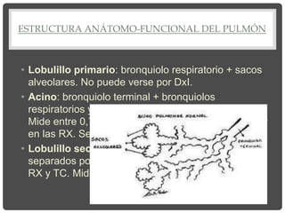 ESTRUCTURA ANÁTOMO-FUNCIONAL DEL PULMÓN
• Lobulillo primario: bronquiolo respiratorio + sacos
alveolares. No puede verse por DxI.
• Acino: bronquiolo terminal + bronquiolos
respiratorios y sacos alveolares correspondientes.
Mide entre 0,7 y 1 cm de diámetro. Muy difícil de ver
en las RX. Se ve en TC.
• Lobulillo secundario: formado por 3 – 5 acinos,
separados por septos de tejido conectivo. Se ve en
RX y TC. Mide entre 1,5 y 2,5 cm de diámetro.
 